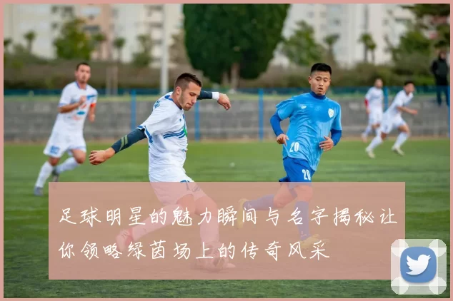 足球明星的魅力瞬间与名字揭秘让你领略绿茵场上的传奇风采
