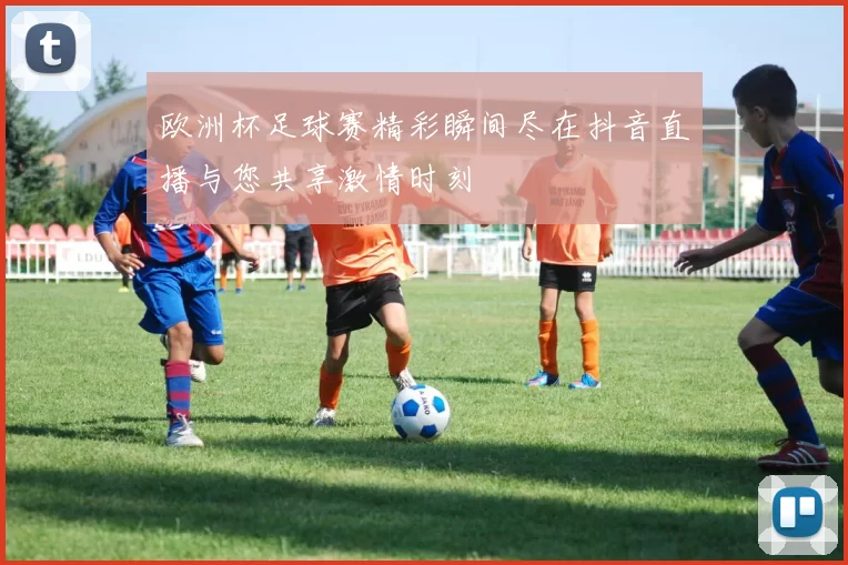 欧洲杯足球赛精彩瞬间尽在抖音直播与您共享激情时刻