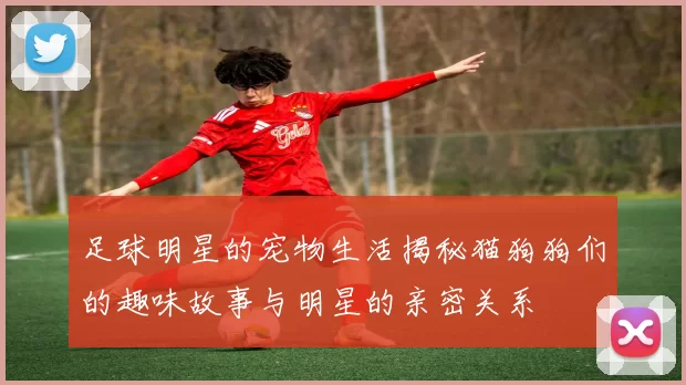 足球明星的宠物生活揭秘猫狗狗们的趣味故事与明星的亲密关系